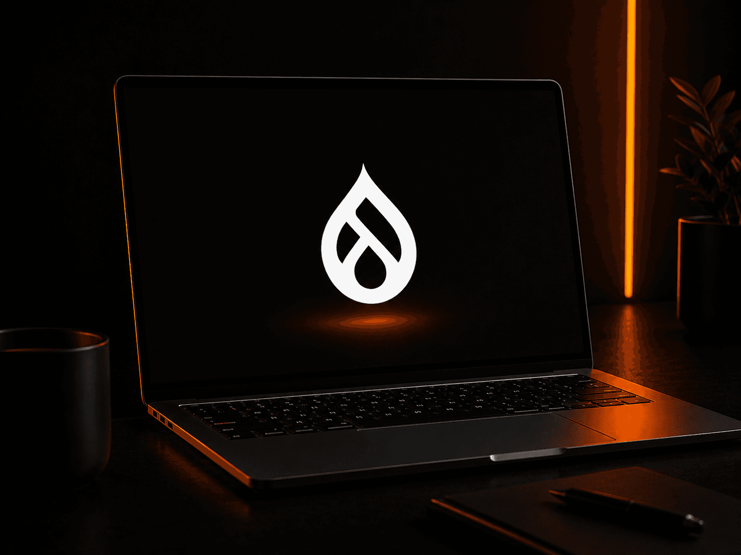 Drupal Development
